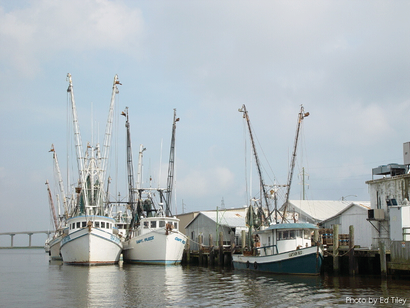 The Apalachicola waterfront